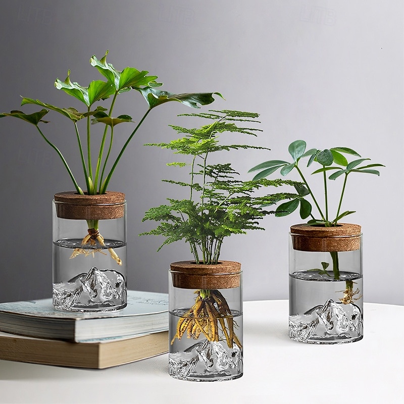 Hydroponic Plant in Glass Vase, Small Desktop Green Plant Ornament for Office, Mini Potted Bonsai Bottle, Micro Landscape Home Decor2