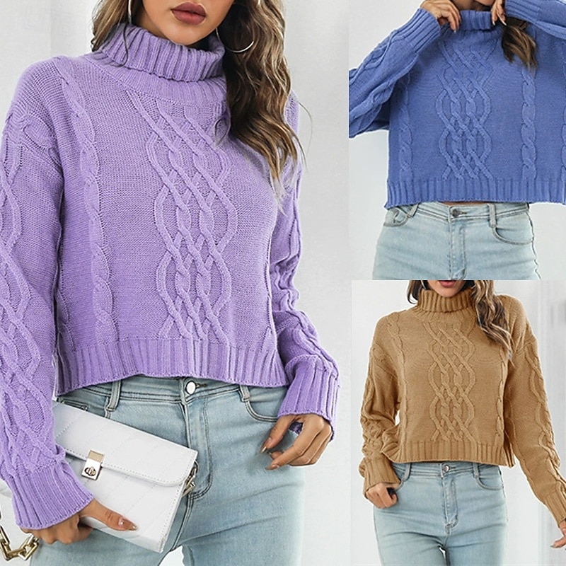 Women's Pullover Casual Solid Color Chunky Turtleneck Knitted Long Sleeve Regular Tops Knit Daily Holiday Going out Blue Purple Fall Winter