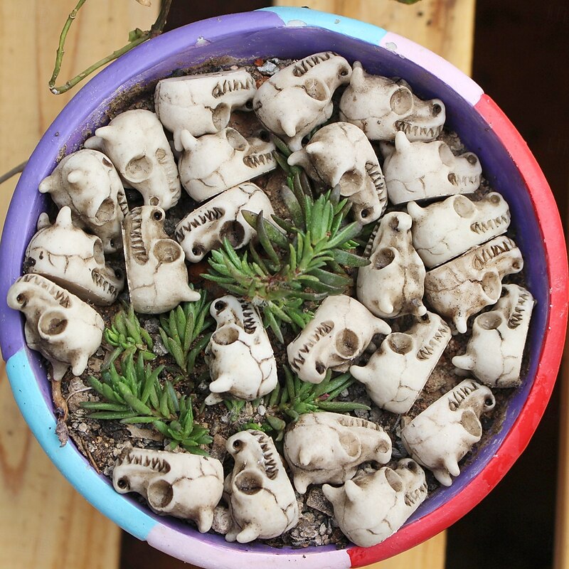 20pcs Halloween Mini Skull Heads for Vase Filler, Tiny Resin Dragon Skeletons for Succulent Planter, Spooky Gothic Decor for Haunted House Party