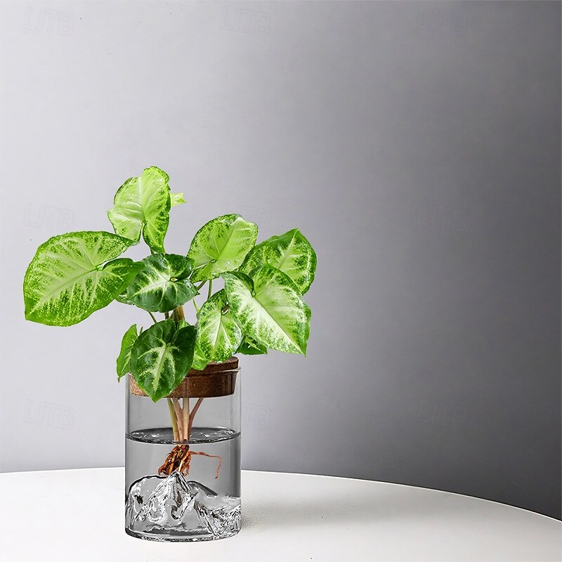 Hydroponic Plant in Glass Vase, Small Desktop Green Plant Ornament for Office, Mini Potted Bonsai Bottle, Micro Landscape Home Decor3