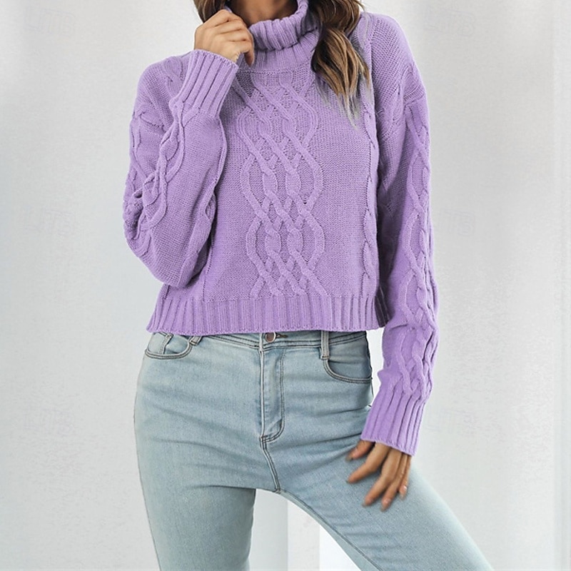 Women's Pullover Casual Solid Color Chunky Turtleneck Knitted Long Sleeve Regular Tops Knit Daily Holiday Going out Blue Purple Fall Winter3