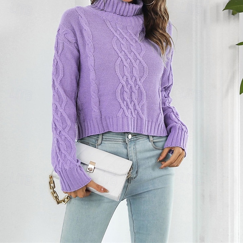 Women's Pullover Casual Solid Color Chunky Turtleneck Knitted Long Sleeve Regular Tops Knit Daily Holiday Going out Blue Purple Fall Winter2