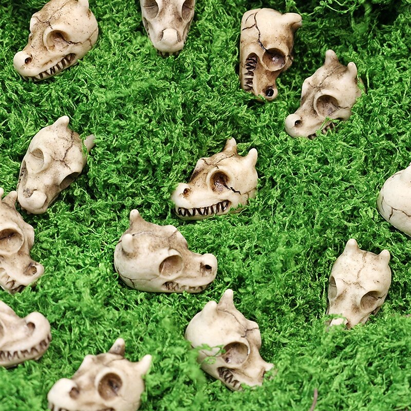 20pcs Halloween Mini Skull Heads for Vase Filler, Tiny Resin Dragon Skeletons for Succulent Planter, Spooky Gothic Decor for Haunted House Party2