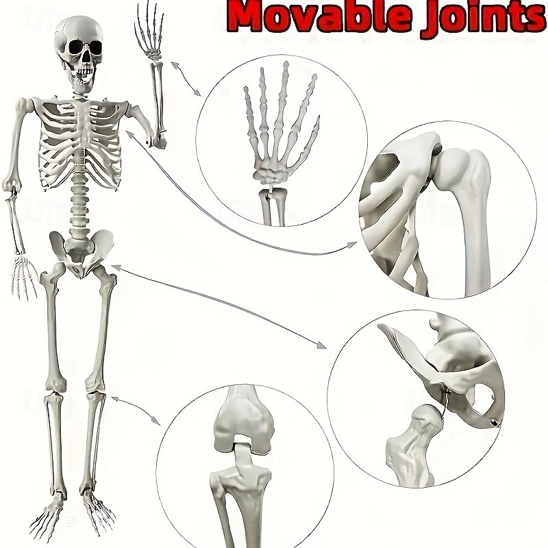 Halloween Yard Decorations 170 Skeletons Realistic Jointed Skeleton Props for Garden Lawn and Haunted House Parties Durable Plastic English Text Multipurpose Use Halloween Decoration2