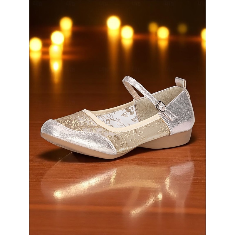 Women's Gold Glitter Mesh Ballet Flats with Embroidered Lace - Professional Dance Shoes for Stage Performance, Ballroom Practice and Recital Wear4
