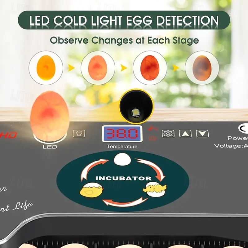 Intelligent Incubator Can Hold 12-18 Eggs LED Digital Temperature Display Automatic Egg Turn and Add Water for Eggs Duck Eggs Parrot Eggs Hatch Very Suitable for Gift Giving Family Farms.4
