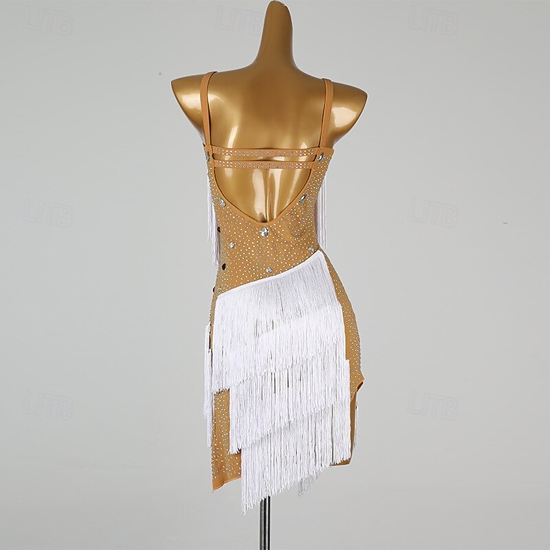 Latin Dance Dress Tassel Women's Performance Training Sleeveless Rumba Salsa Chacha Dancewear Costumes2