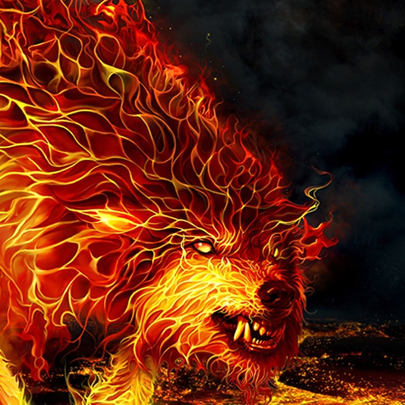 Tom Wood Men's 3D Wolf T Shirt Short Sleeve T shirt 3D Print Crew Neck Shirt Exaggerated Designer Party Street Casual Black Summer Spring All Seasons Clothing Apparel S M L XL XXL XXXL 4XL2