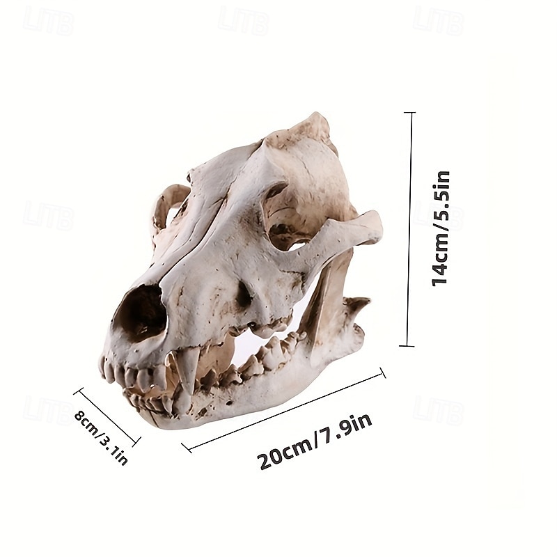 1 PCS Majestic Wolf Head Resin Statue - Versatile Skull Decor for Home and Office Ideal for Bookshelf Living Room or Foyer Durable Resin Material Fits Various Room Types Indoor Use3