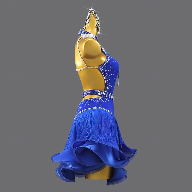 Latin Salsa Dance Dress Tassel Women's Performance Salsa Dance Dress Sleeveless Rumba Party Dancewear4