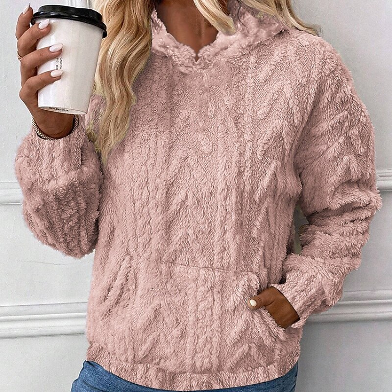 Women's Pullover Hoodie Sweatshirt Plain Streetwear Casual Long Sleeve Hooded Regular Tops Street Holiday Going out Pocket Yellow Pink Blue Brown Fall Winter3
