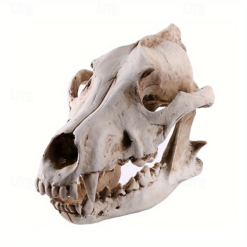 1 PCS Majestic Wolf Head Resin Statue - Versatile Skull Decor for Home and Office Ideal for Bookshelf Living Room or Foyer Durable Resin Material Fits Various Room Types Indoor Use