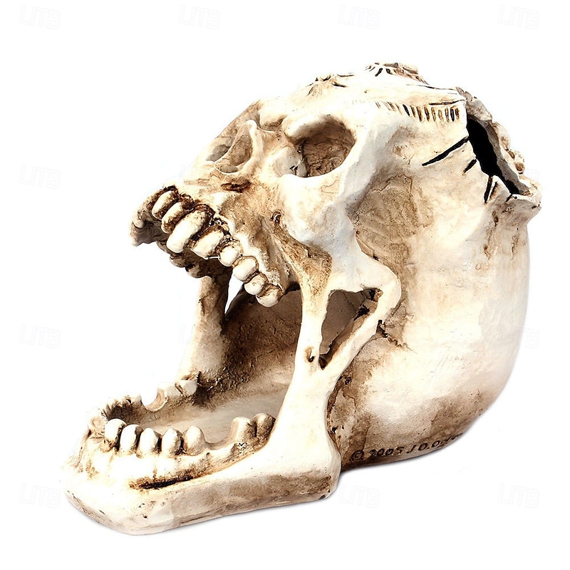 Halloween Statue Skull Makeup Jewelry Organizer Open Mouth Fang Gothic Bone Head Cosmetic Storage Holder Unique Spooky Desktop Decor for Home Vanity Table