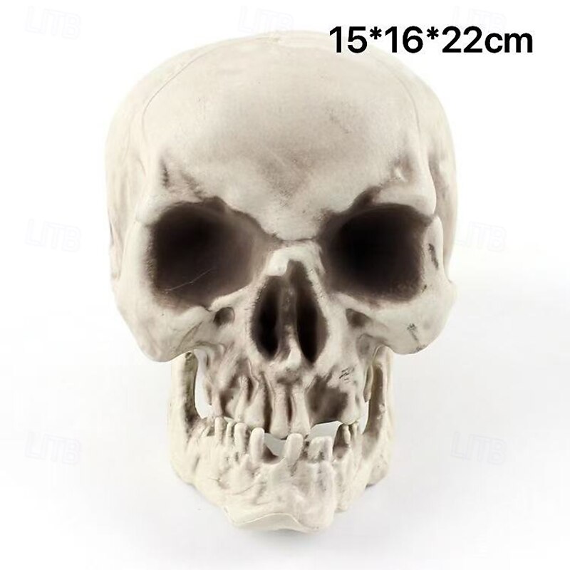 Halloween Human Skull Model Prop, Realistic Skeleton Head in Multiple Sizes, Scary Haunted House Decor for Halloween Party Scene Setup4