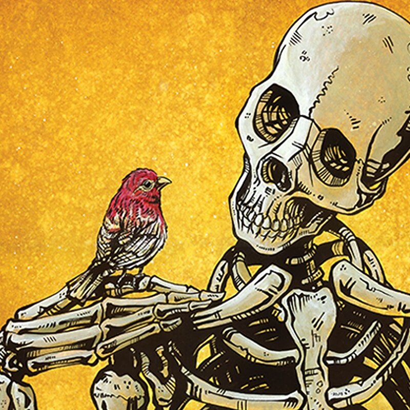 Birds Of A Feather by David Lozeau Men's Bird Skulls Button Up Shirt Long Sleeve Designer Shirt Limited Artist Edition2