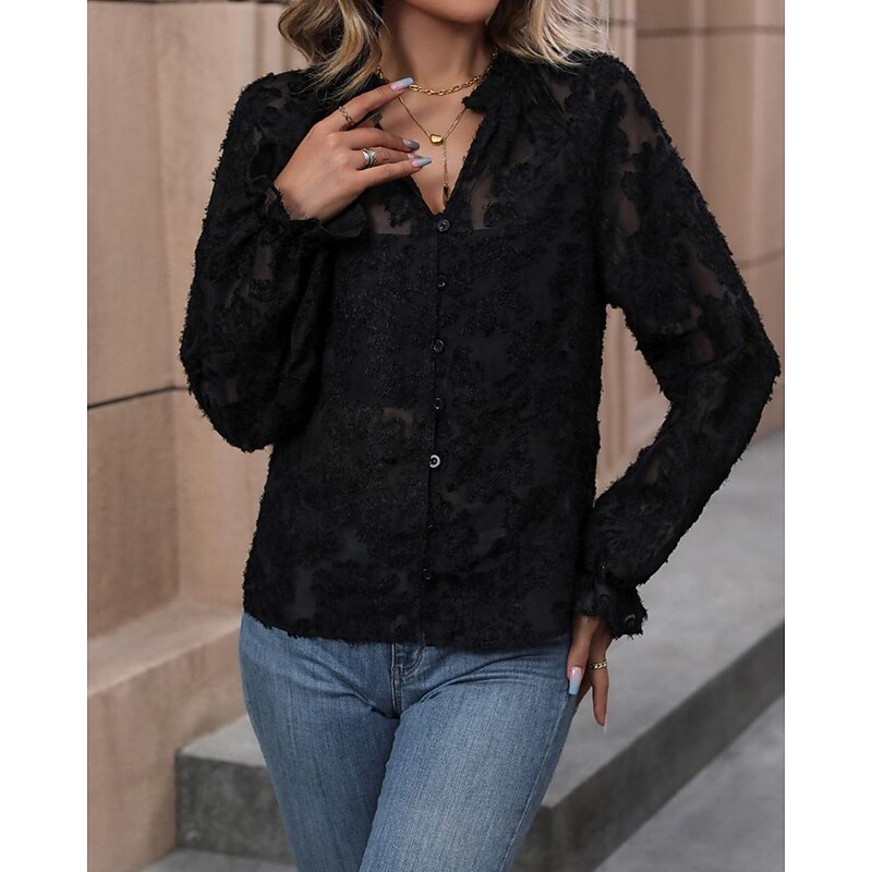 Women's Shirt Plain Stylish Modern Long Sleeve V Neck Regular Tops Daily Holiday Mesh Black Spring Fall3