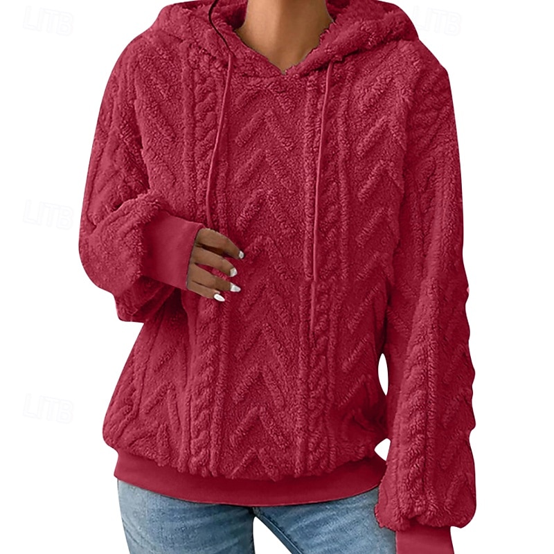 Women's Pullover Hoodie Sweatshirt Plain Casual Long Sleeve Hooded Regular Tops Home Street Holiday Silver Pink Red Gray Fall Winter