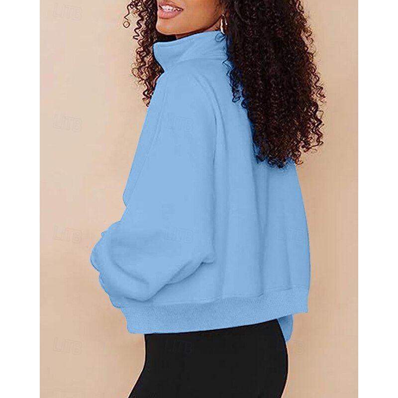 Women's Pullover Hoodie Sweatshirt Plain Streetwear Casual Long Sleeve High Neck Regular Tops Street Going out Half Zipper Quarter Zipper Zipper Pocket Black White Beige Light Blue Fall Winter2