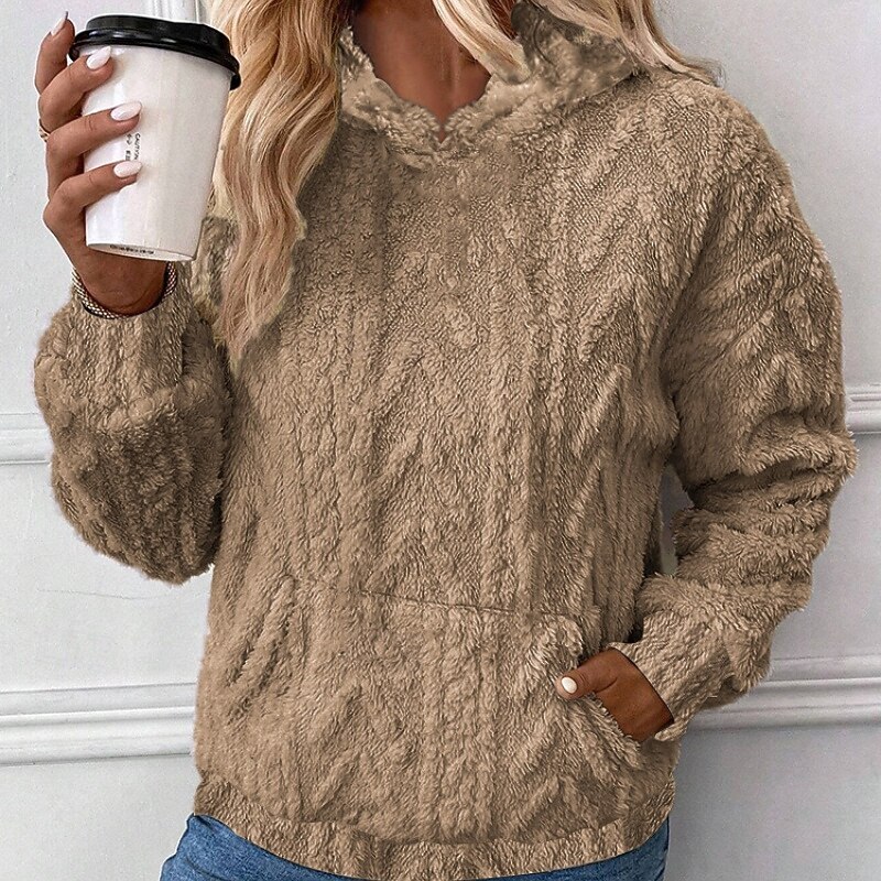 Women's Pullover Hoodie Sweatshirt Plain Streetwear Casual Long Sleeve Hooded Regular Tops Street Holiday Going out Pocket Yellow Pink Blue Brown Fall Winter4