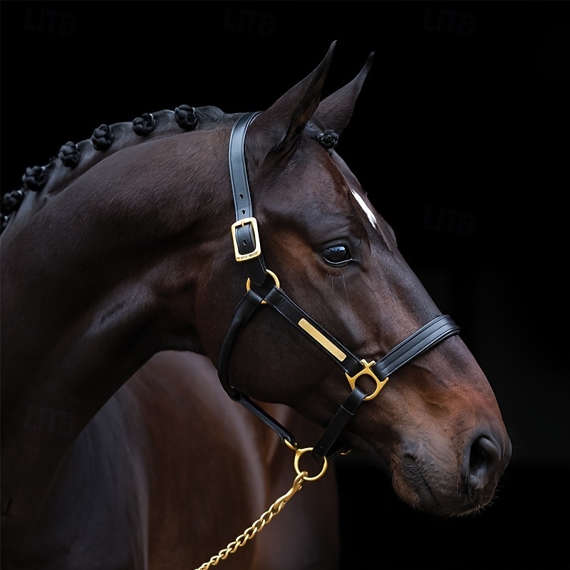 500 Extra Thick High-Elasticity Silicone Horse Tendons - Durable Mane & Tail Hair Bands for Horses, Black and White Horse Hair Tie-Down Accessories, Mane Securing Bands Flexible Horse Bands Highel2