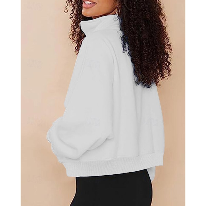 Women's Pullover Hoodie Sweatshirt Plain Streetwear Casual Long Sleeve High Neck Regular Tops Street Going out Half Zipper Quarter Zipper Zipper Pocket Black White Beige Light Blue Fall Winter4