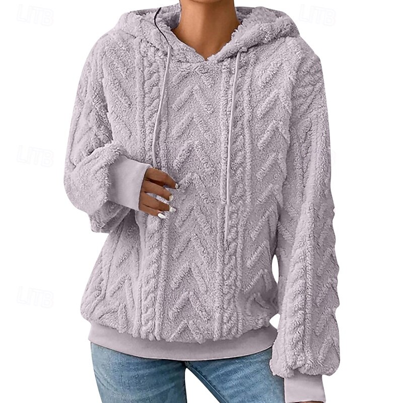 Women's Pullover Hoodie Sweatshirt Plain Casual Long Sleeve Hooded Regular Tops Home Street Holiday Silver Pink Red Gray Fall Winter3