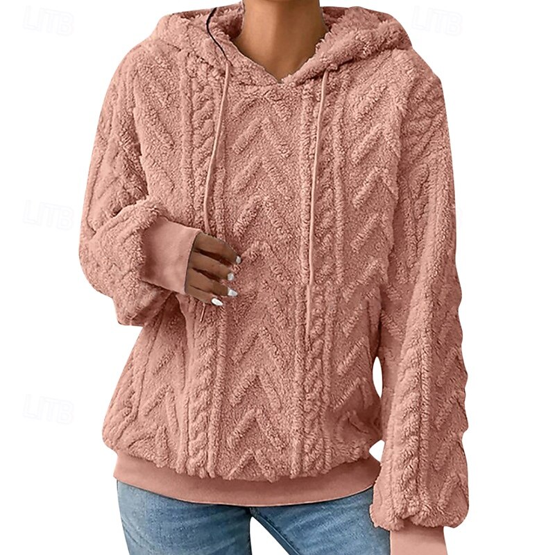 Women's Pullover Hoodie Sweatshirt Plain Casual Long Sleeve Hooded Regular Tops Home Street Holiday Silver Pink Red Gray Fall Winter4