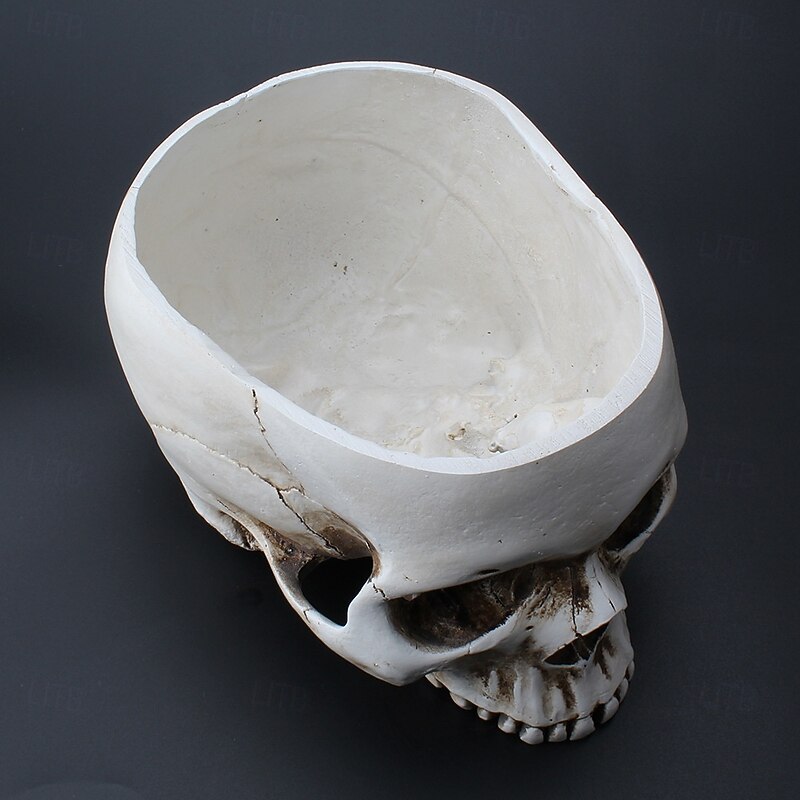 Halloween Statue Skull Storage Head Planter Creative Ventilated Resin Gothic Home Garden Antique Style Plant Pot Container Decorative Halloween Ornament3