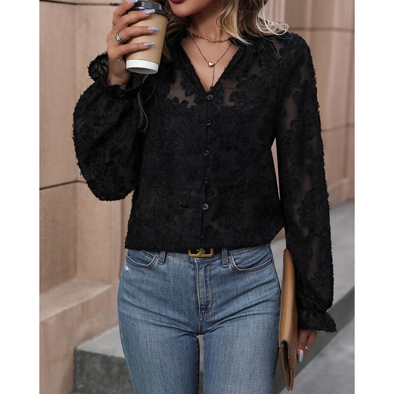 Women's Shirt Plain Stylish Modern Long Sleeve V Neck Regular Tops Daily Holiday Mesh Black Spring Fall4