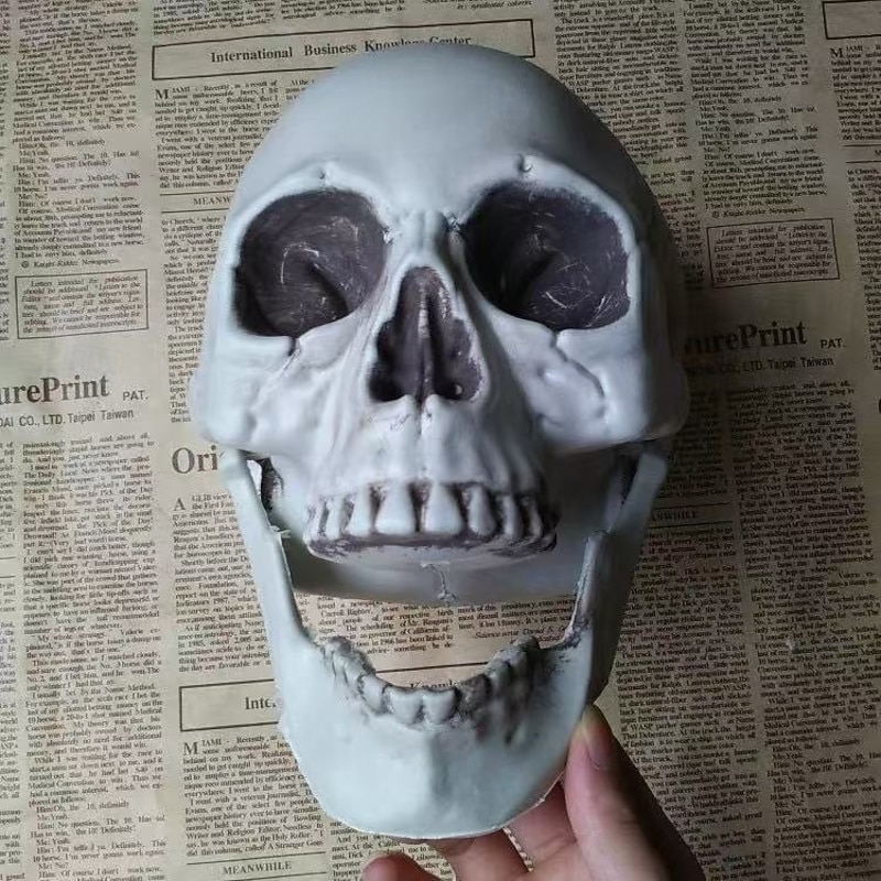Halloween Human Skull Model Prop, Realistic Skeleton Head in Multiple Sizes, Scary Haunted House Decor for Halloween Party Scene Setup3