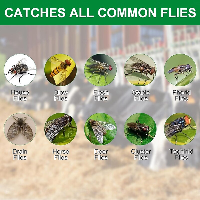 4 Pack Ranch Fly Traps Outdoor, Fly Traps Fly Catcher Hanging Cage for Indoor or Outdoor Farms, Park, Stable, Garden, Restaurants4