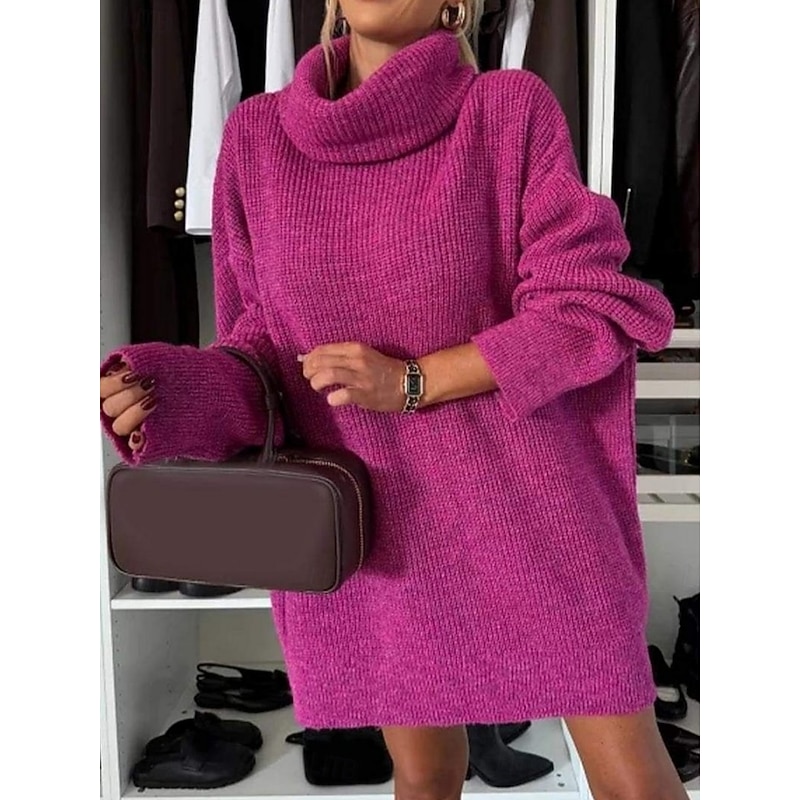 Women's Sweater Dress Daily Stylish Basic Pure Color Ribbed Turtleneck Knitted Long Sleeve Regular Tops Knit Outdoor Daily Black White Fall Winter3