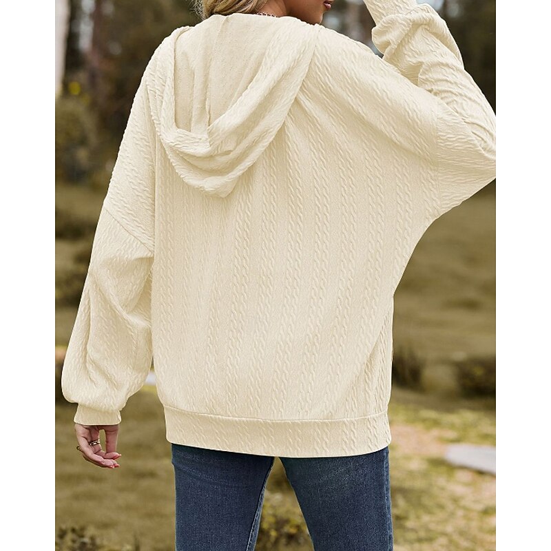 Women's Texture Sweatshirt Zip Up Hoodies Plain Streetwear Casual Long Sleeve Hooded Regular Tops Street Holiday Going out Zipper Pocket Light Pink Black Wine Navy Blue Blue Fall Winter3