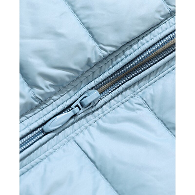 Women's Down Jacket Warm Comfortable Zipper Pocket Fashion Plain Going out Weekend Zipper Regular Hooded Regular Fit Long Sleeve Outerwear Yellow Pink Red Fall Winter4