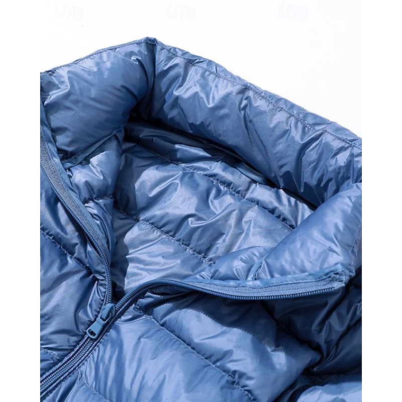 Women's Down Jacket Coat Warm Comfortable Zipper Pocket Fashion Plain Holiday Going out Casual Daily Weekend Zipper Long Hooded Regular Fit Long Sleeve Outerwear Black Blue Purple Fall Winter4