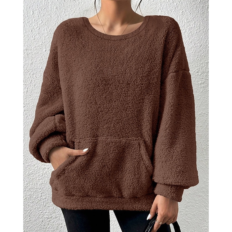 Women's Hoodies Plain Streetwear Casual Long Sleeve Crew Neck Regular Tops Street Holiday Pocket Brown Fall Winter2