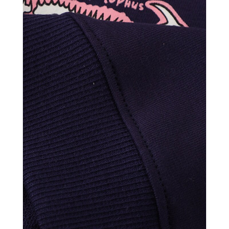 Kids Boys' Sweatshirt Cartoon Long Sleeve Crewneck Fall Winter Daily Basic Cotton Outdoor Casual4