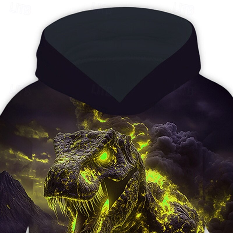 Boys' 3D Dragon Hoodie Long Sleeve Spring Fall Fashion Streetwear Kids 4-12 Years Hooded Outdoor Casual Daily Regular Fit4