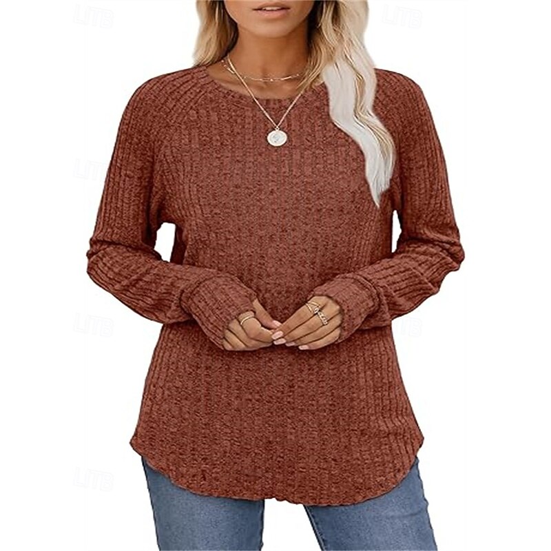 Women's Texture Sweatshirt T Shirt Tee Top Plain Fashion Modern Long Sleeve Crew Neck Regular Tops Daily Going out Black Wine Army Green Light Brown Blue Spring Fall3