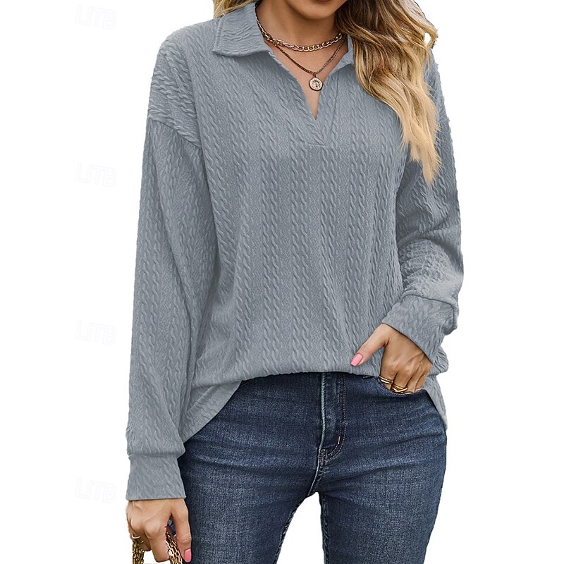 Women's Texture Sweatshirt Pullover Sweatshirt Plain Streetwear Casual Long Sleeve V Neck Regular Tops Street Holiday Black Pink Wine Navy Blue Blue Fall Winter