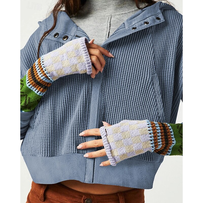 Women's Casual Jacket Hoodie Jacket Warm Comfortable Zipper Pocket Fashion Outdoor Plain Going out Weekend Zipper Regular Hooded Regular Fit Long Sleeve Outerwear Black Pink Blue Fall Winter3