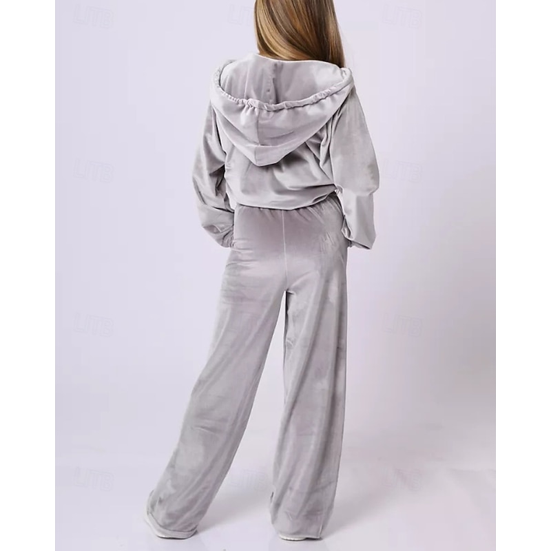 2 Pieces Kids Girls' Solid Color Drawstring Hoodie & Sweatpants Set Set Long Sleeve Streetwear Outdoor 4 years+ Fall Black Pink Royal Blue4