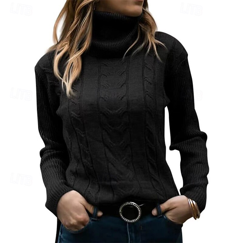 Women's Sweater Fashion Streetwear Casual Pure Color Ribbed Turtleneck Knitted Long Sleeve Regular Tops Knit Outdoor Daily Weekend Black White Fall Winter3