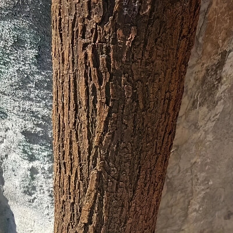 Soft Rubber Faux Tree Bark Roll Versatile, Cut-to-Size for DIY Home Decor, Wall & Column Covering - Available in Multiple Sizes3