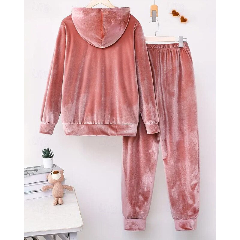 Women's Active Streetwear Blouse Hoodie Pants Sets Long Sleeve Hooded Solid Color Ruched Vacation Daily Wear Pink Wine Blue Fall Regular Fit2