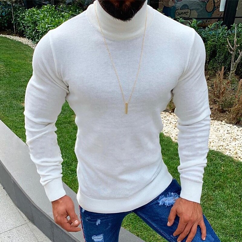 Men's Pullover Sweater Jumper Knit Sweater Ribbed Knit Regular Tops Knitted Plain Turtleneck Fashion Basic Vacation Daily Wear Clothing Apparel Fall Winter Beige S M L