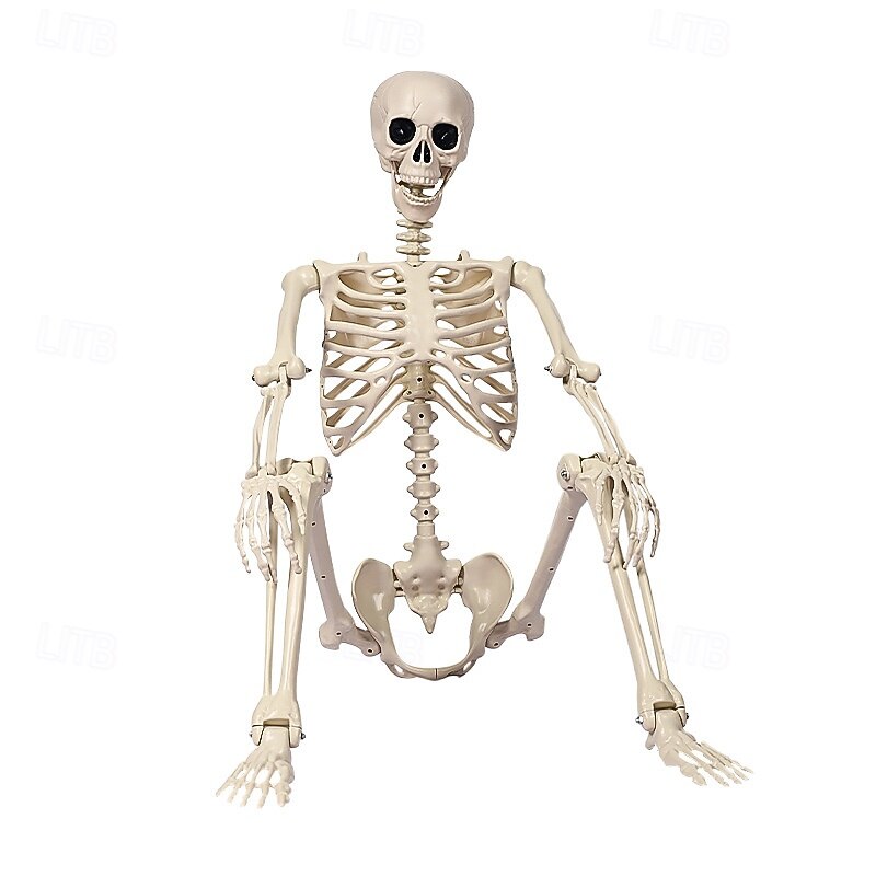 Full Body Skeleton with Movable Posable Joints, Realistic Plastic Bones Halloween Prop for Outdoor Haunted House Decorations4