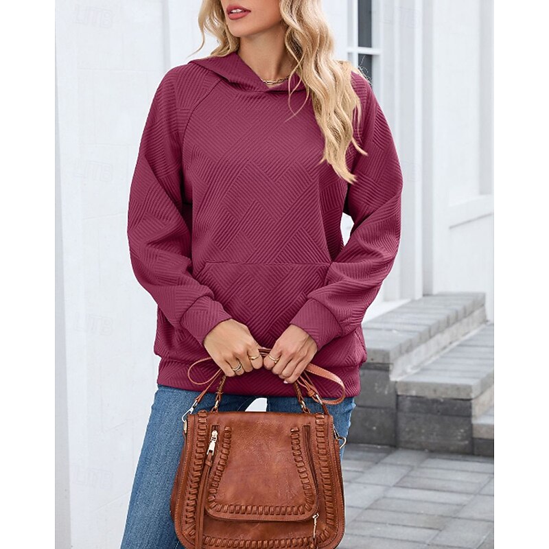 Women's Texture Sweatshirt Pullover Hoodie Sweatshirt Plain Streetwear Casual Long Sleeve Hooded Regular Tops Street Going out Pocket Black Pink Wine Gray Fall