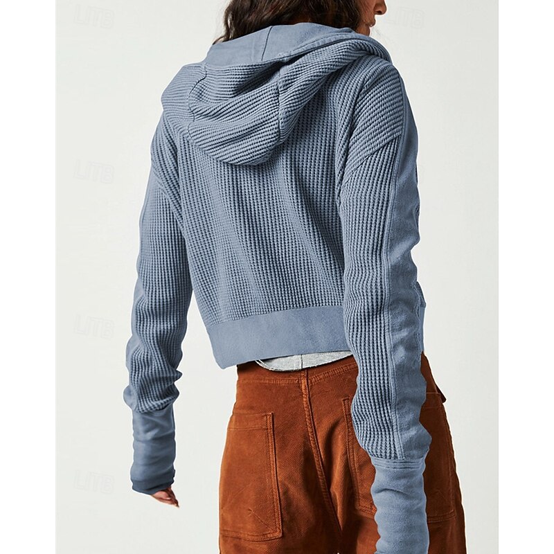 Women's Casual Jacket Hoodie Jacket Warm Comfortable Zipper Pocket Fashion Outdoor Plain Going out Weekend Zipper Regular Hooded Regular Fit Long Sleeve Outerwear Black Pink Blue Fall Winter4