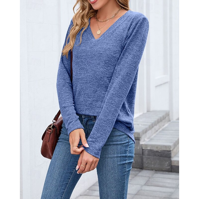 Women's Texture Blouse T Shirt Plain Casual Long Sleeve V Neck Regular Tops Daily Going out Black Wine Army Green Blue Brown Fall2